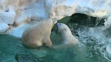 恩賜上野動物園に投稿された画像（2026/1/12）