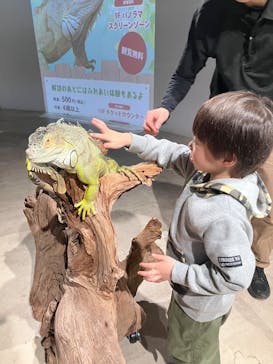 カワスイ 川崎⽔族館に投稿された画像（2026/1/12）