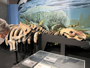 特別展「大絶滅展―生命史のビッグファイブ」に投稿された画像（2026/1/12）