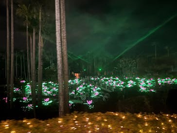 美らヤシパークオキナワ・東南植物楽園に投稿された画像（2026/1/12）