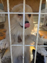 つくばわんわんランドに投稿された画像（2026/1/12）