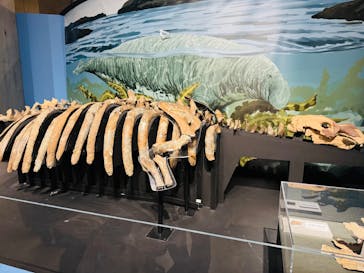 特別展「大絶滅展―生命史のビッグファイブ」に投稿された画像（2026/1/12）