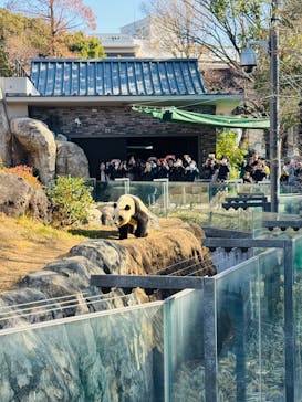 恩賜上野動物園に投稿された画像（2026/1/12）