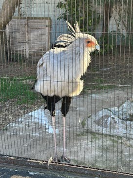 恩賜上野動物園に投稿された画像（2026/1/12）