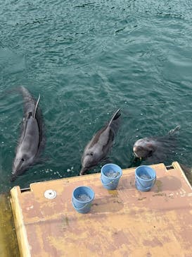 下田海中水族館に投稿された画像（2026/1/12）