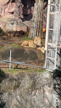 名古屋市東山動植物園に投稿された画像（2026/1/12）