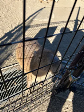 あらかわ遊園に投稿された画像（2026/1/12）