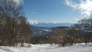 池の平温泉アルペンブリックスキー場に投稿された画像（2026/1/12）