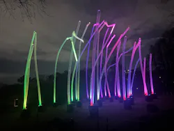 チームラボ ボタニカルガーデン 大阪に投稿された画像（2026/1/12）