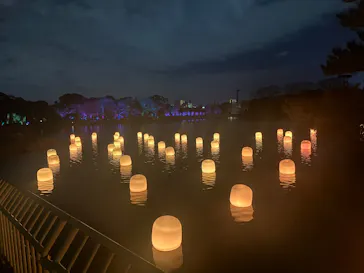 チームラボ ボタニカルガーデン 大阪に投稿された画像（2026/1/12）