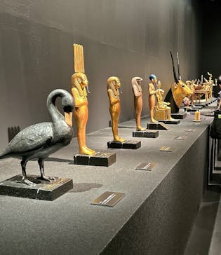 MYSTERY OF TUTANKHAMEN 体感型古代エジプト展に投稿された画像（2026/1/13）