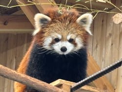 伊豆シャボテン動物公園に投稿された画像（2026/1/13）