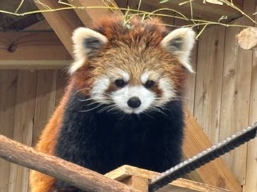 伊豆シャボテン動物公園に投稿された画像（2026/1/13）