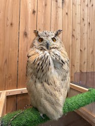 伊豆シャボテン動物公園に投稿された画像（2026/1/13）