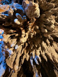 CAVE OKINAWAに投稿された画像（2026/1/13）