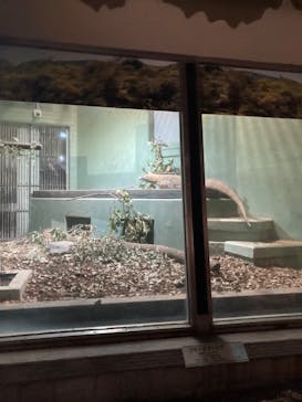 名古屋市東山動植物園に投稿された画像（2026/1/13）