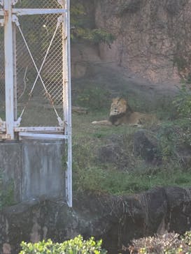 名古屋市東山動植物園に投稿された画像（2026/1/13）