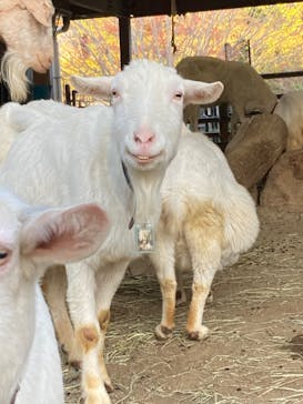 名古屋市東山動植物園に投稿された画像（2026/1/13）