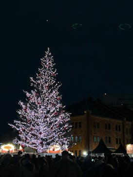 Christmas Market in 横浜赤レンガ倉庫 2025に投稿された画像（2026/1/13）