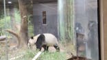 恩賜上野動物園に投稿された画像（2026/1/13）