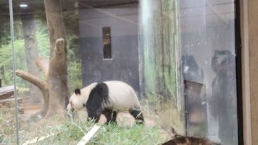 恩賜上野動物園に投稿された画像（2026/1/13）