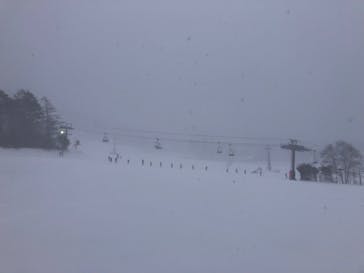 白樺高原国際スキー場に投稿された画像（2026/1/13）