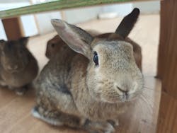 東京あそびマーレに投稿された画像（2026/1/13）