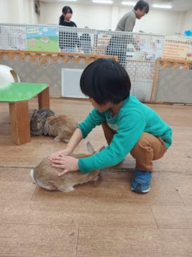 東京あそびマーレに投稿された画像（2026/1/13）