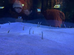 マリンワールド海の中道に投稿された画像（2026/1/13）