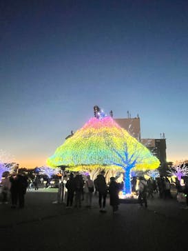 東京メガイルミに投稿された画像（2026/1/13）