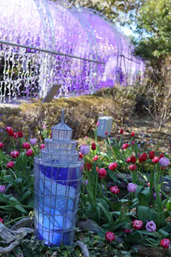 江の島シーキャンドルに投稿された画像（2026/1/13）