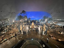 福井県立恐竜博物館に投稿された画像（2026/1/13）