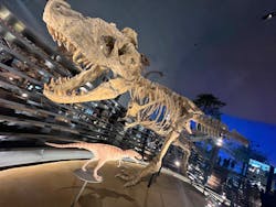 福井県立恐竜博物館に投稿された画像（2026/1/13）