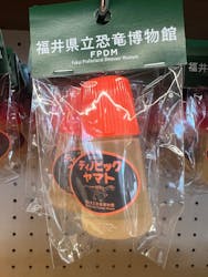 福井県立恐竜博物館に投稿された画像（2026/1/13）