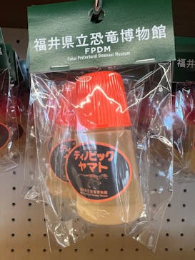 福井県立恐竜博物館に投稿された画像（2026/1/13）