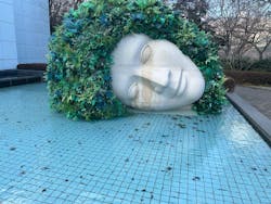 彫刻の森美術館に投稿された画像（2026/1/13）