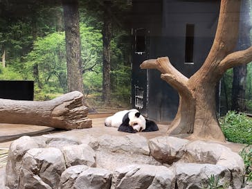 恩賜上野動物園に投稿された画像（2026/1/13）