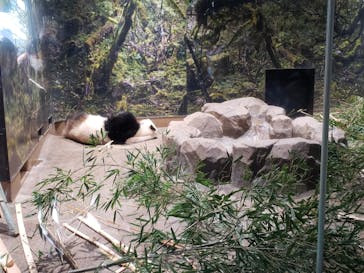 恩賜上野動物園に投稿された画像（2026/1/13）