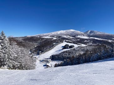 菅平高原スノーリゾートに投稿された画像（2026/1/13）