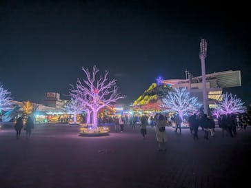 東京メガイルミに投稿された画像（2026/1/13）