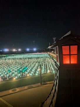 東京メガイルミに投稿された画像（2026/1/13）