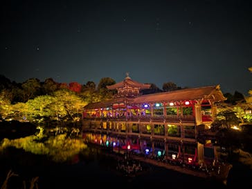 NAKEDヨルマイリ 2025-26 平安神宮に投稿された画像（2026/1/13）