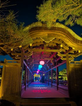 NAKEDヨルマイリ 2025-26 平安神宮に投稿された画像（2026/1/13）