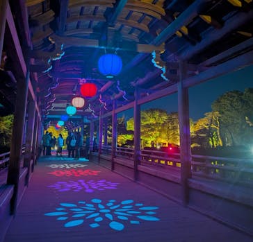 NAKEDヨルマイリ 2025-26 平安神宮に投稿された画像（2026/1/13）