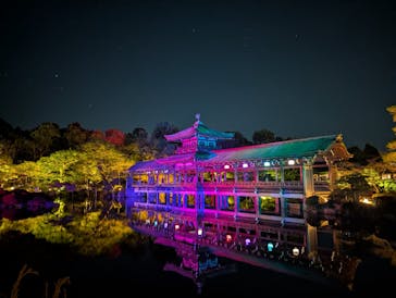 NAKEDヨルマイリ 2025-26 平安神宮に投稿された画像（2026/1/13）