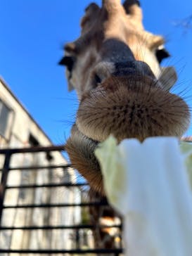 宇都宮動物園に投稿された画像（2026/1/13）