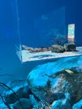 アクアワールド茨城県大洗水族館に投稿された画像（2026/1/13）