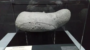 特別展「深宇宙展～人類はどこへ向かうのか」（愛知会場）に投稿された画像（2026/1/13）