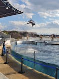京都水族館に投稿された画像（2026/1/13）