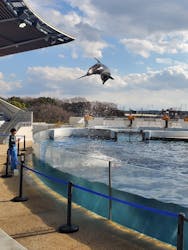 京都水族館に投稿された画像（2026/1/13）